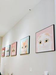 -洗脸猫·洗脸吧