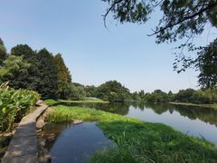 -西院1号(龙井店)