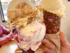 -Patagonia Chocolates(皇后镇店)