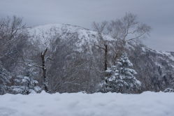 -大秃顶子山