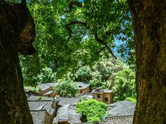 -杨家堂村