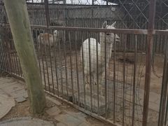 -河北村民俗体验园