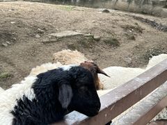 -宁波野生动物园