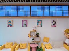 -山宅一喵德文卷毛猫舍