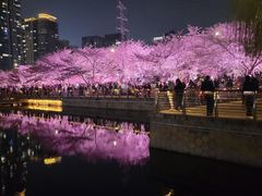 -西北湖绿化广场