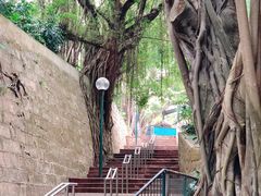 -九龙公园