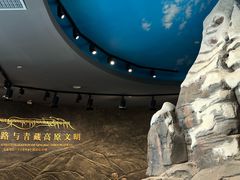 -青海藏文化博物院