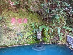 -十八棵（老龙井）御茶园(老龙井店)