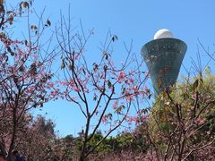 -狐尾山公园