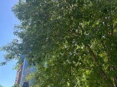 -星巴克臻选(北京太阳宫凯德店)