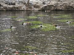 -水磨沟公园