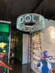 -IDOL-PLUS