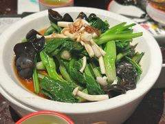-新白鹿餐厅(龙游路店)