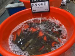 -钱塘宴(东站西子国际店)