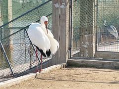 -盐城丹顶鹤湿地生态旅游区