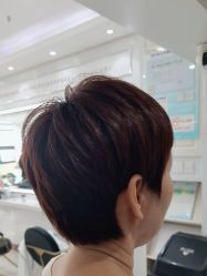 -镁连社·美联社