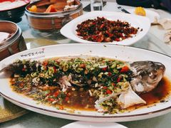 鲜椒草鱼-蜀竹情酒楼(北营房店)