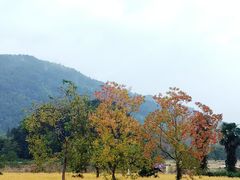 -塔川景区