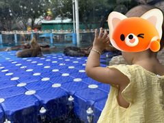 -海合安成都极地海洋公园