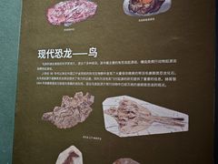 -衢州市博物馆