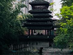 -南汇桃花村