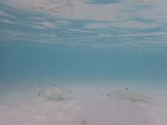 -中央格兰德岛温泉度假酒店 - 全包