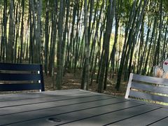 -同里国家湿地公园