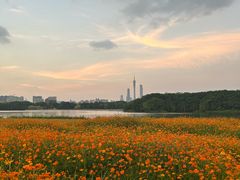-海珠湖公园