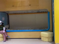 -IBOBI早教·托班·国际家庭互动成长中心(欢乐海岸中心)