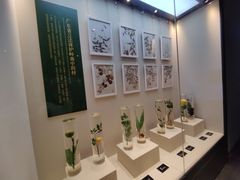 -广东中医药博物馆