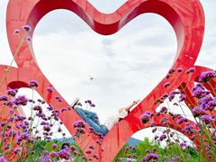 -西京湾花海