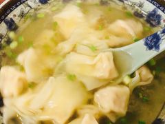 -九斤黄三黄鸡专卖店