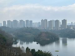 -重庆彩云湖湿地公园