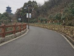 -杭州半山国家森林公园