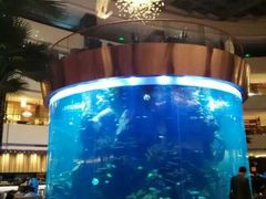 景观位-佛山希尔顿酒店·融誉亚洲美食荟