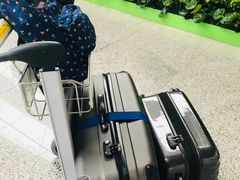 -上海浦东国际机场-T2航站楼