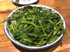 -Mountain House East Village 川山甲