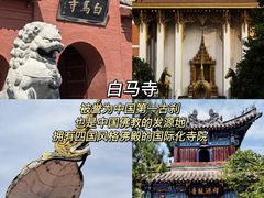 -洛阳国际大酒店