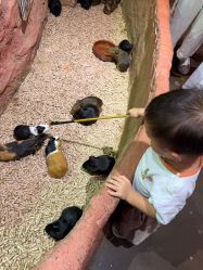 -Zoolung Zoolung动物主题公园(海信广场店)