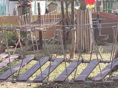 -泉州海丝野生动物世界