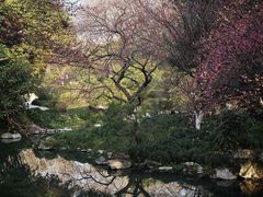 -杭州萧山国际机场