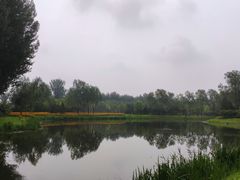 -东郊湿地公园