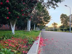 -艾溪湖湿地公园