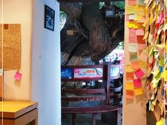 -古树酸奶(八廓南街店)