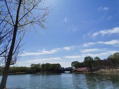 -大兴滨河森林公园