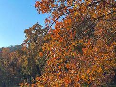 -西山人家·传统苏帮菜·家宴(木渎店)