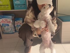 -天宠宠物医院24小时·急重症诊疗中心·全科·腔镜特色(和平分院)