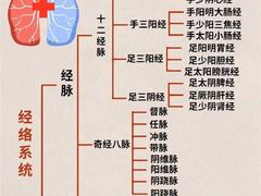 -裕和堂中医推拿艾灸(太古汇臻品店)