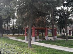 -四川大学(望江校区)