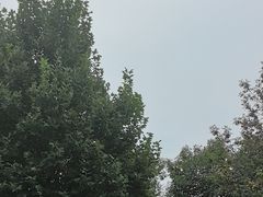 -太阳宫公园